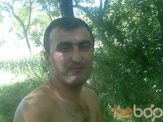  ,   Dato, 50 ,     , c 