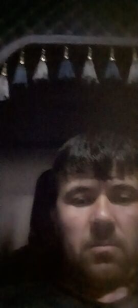  ,    , 37 ,     
