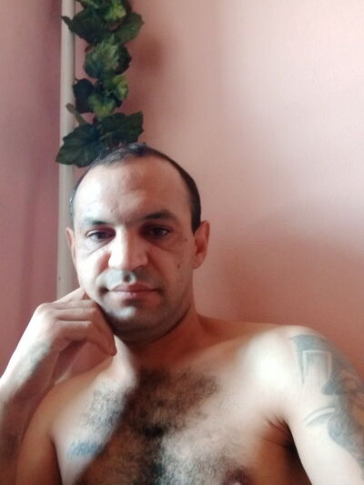  --,   , 43 ,   