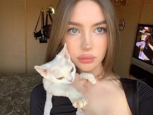  --,   , 24 ,   ,   