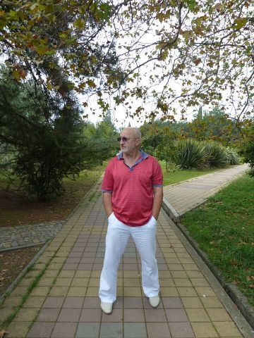 ,   , 65 ,   ,   