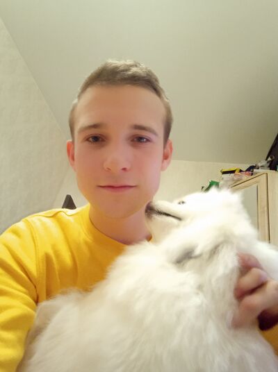  ,   German, 26 ,   ,   