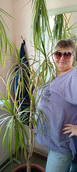  -,   Elena, 50 ,   ,   