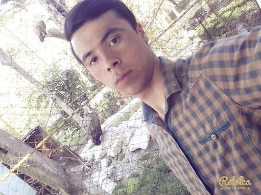  ,   DaLeR, 31 ,     , c , 