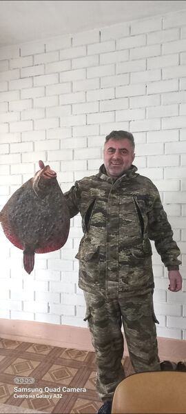  deleted,   , 47 ,   ,   