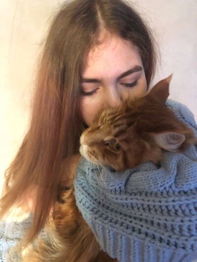  ,   , 18 ,   ,   