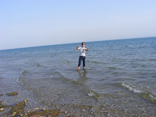  ,   Safarbek, 38 ,   ,   , c 