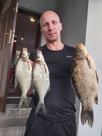  Zory,   Wladyslav, 31 ,   ,   , c 