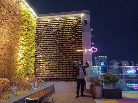  ,   ZUBAYRA, 35 ,   ,   