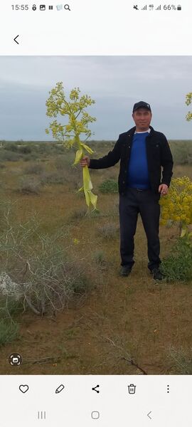  ,   Otash, 41 ,   ,   , c , 