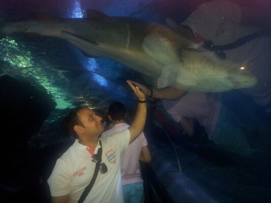  ,   Rauf, 39 ,   