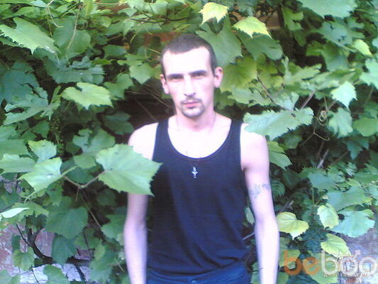  ,   Boroda003, 45 ,   ,   , c 