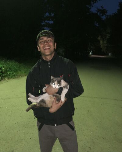  ,   Buda, 23 ,   ,   