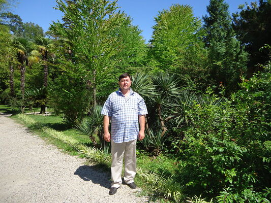  ,   , 57 ,   