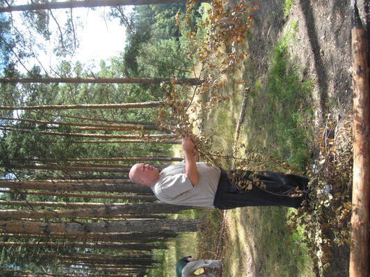   ,   , 65 ,   