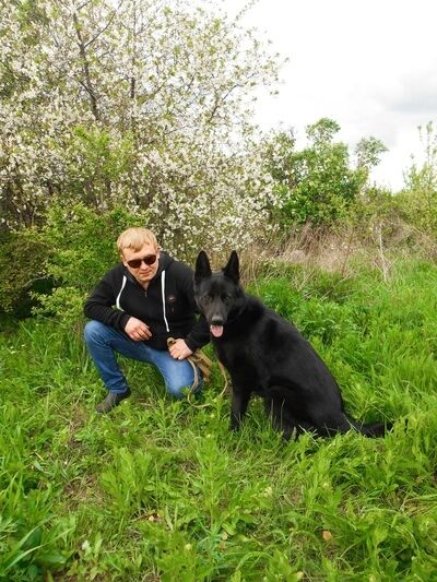 ���������� �����, ���� ������� ������, 38 ���, ������������ ��� c�������� ���������