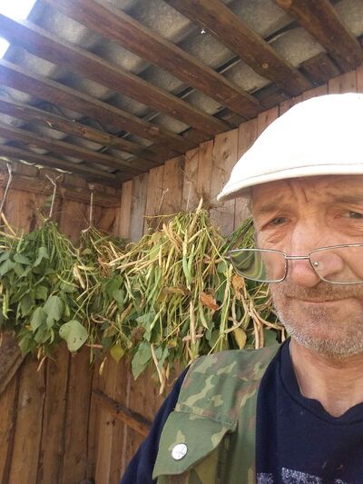  ,   , 55 ,   ,   