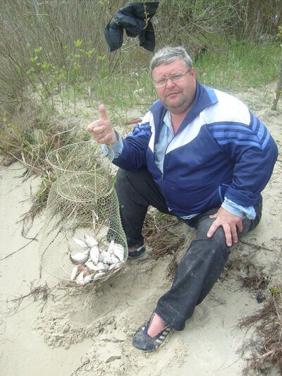  --,   , 62 ,   
