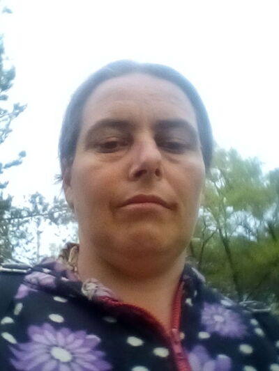  ,   , 41 ,   ,   