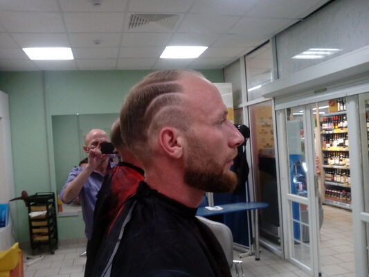  ,     , 36 ,   ,   , c 