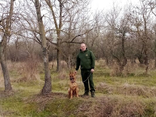 ���������� �����������, ���� ������� �������, 46 ���, ������������ 