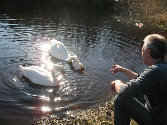  ,   Viktor, 65 ,     , c 