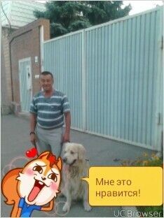  10930839  , 71 ,    