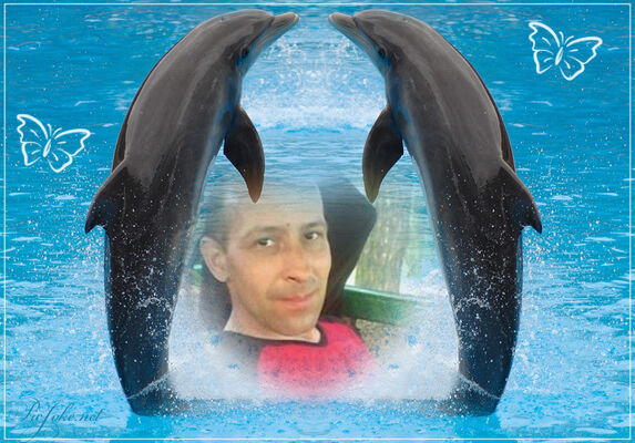  ,   , 56 ,   