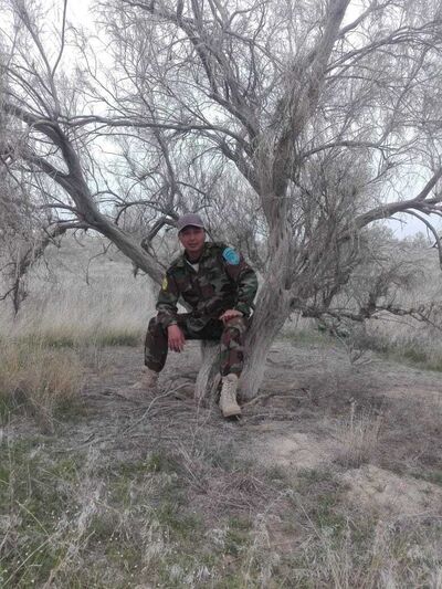  ,   Kazbek, 44 ,   ,   