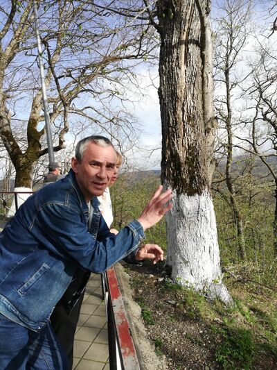  ,   , 55 ,   ,   , c 