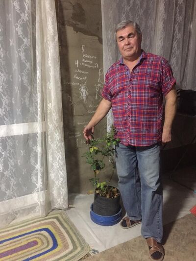  ,   , 65 ,   ,   