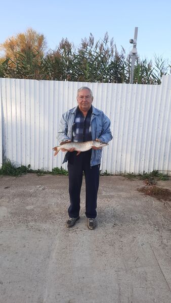 ,   , 68 ,   ,   