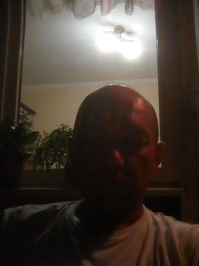  ,   , 44 ,  