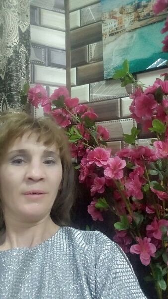  ,   , 43 ,   ,   , 