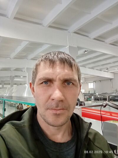  -,   , 38 ,   ,   
