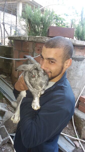  Algiers,   Manix, 26 ,   ,   