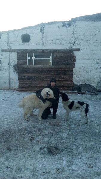  ,   Maksim, 28 ,   ,   , c 