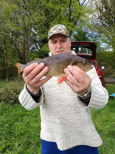  Cashel,   , 56 ,   ,   
