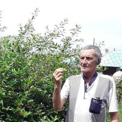  ,   , 60 ,   ,   