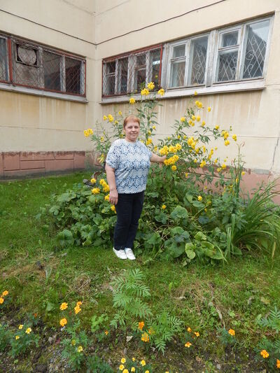 ���������� ����������, ���� ������� �����, 50 ���, ������������ ��� ����� � ���������, c�������� ���������