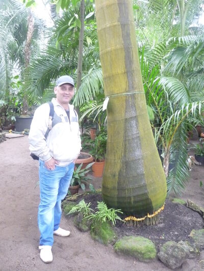  --,   , 52 ,   ,   , c 