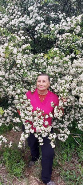  ,   , 70 ,   ,   