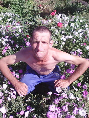  ,   , 54 ,   ,   , c , 