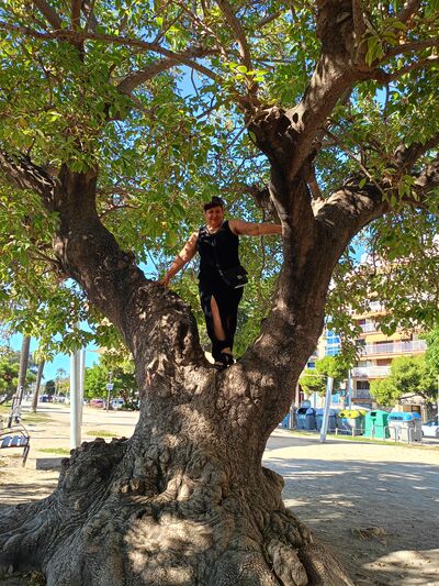  Vilanova i la Geltru,   , 40 ,   