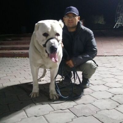  ,     , 46 ,     , c 
