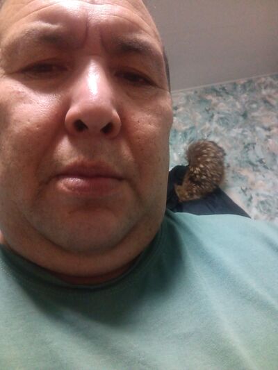  ,   , 44 ,   ,   