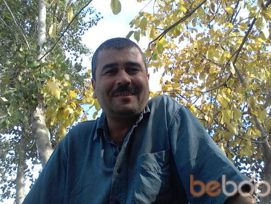  ,   , 54 ,  
