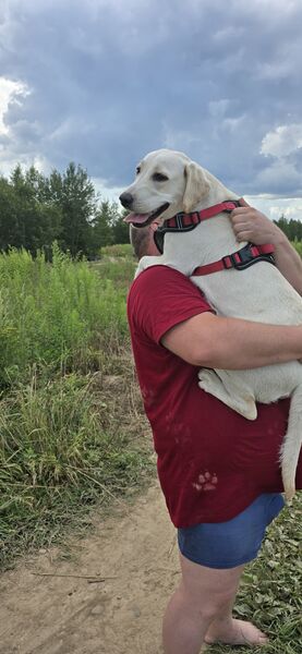  ,   Anton, 39 ,   c 