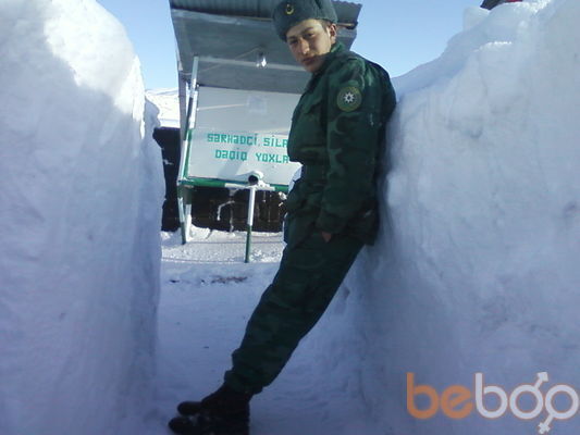  ,   Nur, 43 ,   