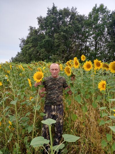  ,   , 55 ,   ,   , 